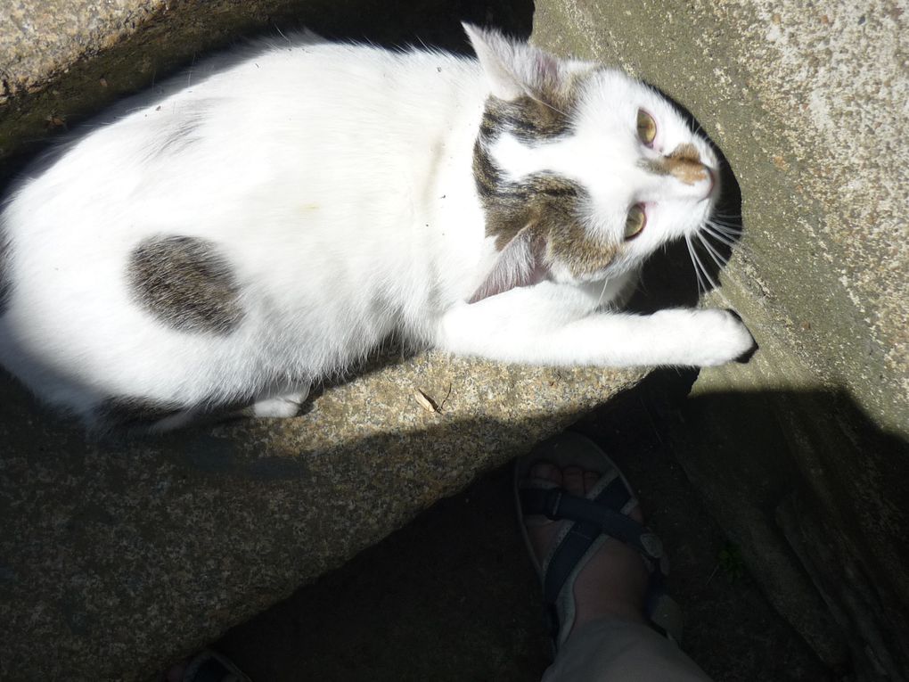 PETIT MALE FILOU 
J'AI 6 MOIS (déc08) ET JE JOUE PARTOUT. Y-A PLEIN DE CACHETTES SYMPA DANS MA MAISON.