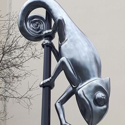 Un caméléon sur un réverbère!