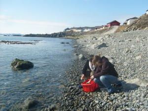 Nordkapp (2): sur le site naturel payant...