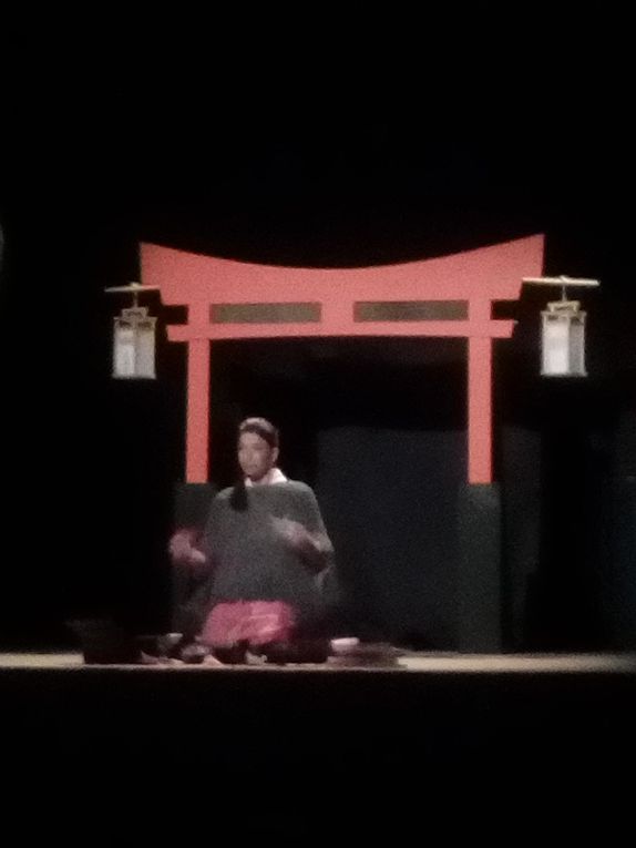 Voyage au Japon avec le spectacle &quot;Yume, croire en ses rêves&quot; pour les classes CM1, CM2, 6emes et 5emes