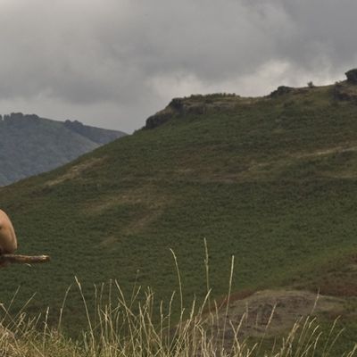 Le chemin va être long