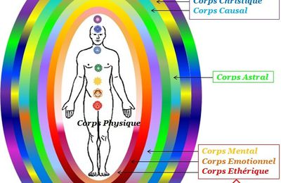 Les corps : physique, émotionnel, mental et spirituel