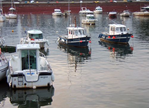 J'ai découvert la Bretagne en 2002 et je suis tombé sous le charme de cette région en particulier de la presqu'ile de Rhuys. De mes séjours réguliers, je ramène des images chaque fois différentes.