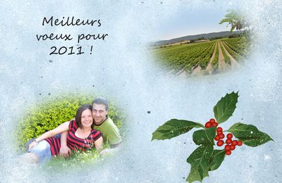 Bonne année 2011 !