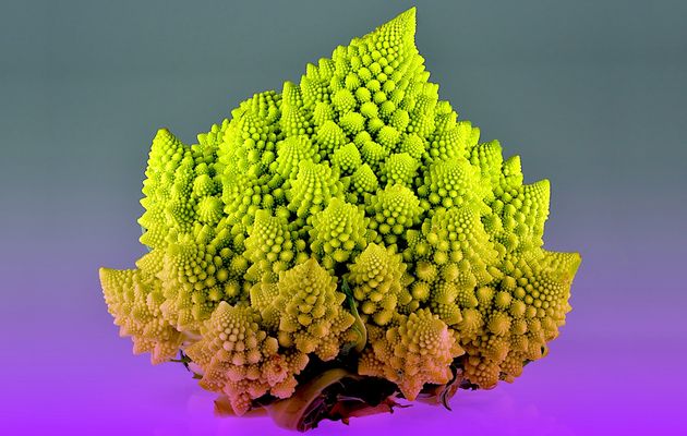 L'Imaginaire fractal #2 — retour aux sources