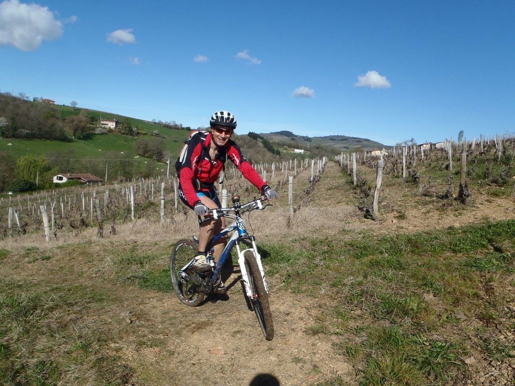 Rando 55 km "entre vigne et pierres dorées"