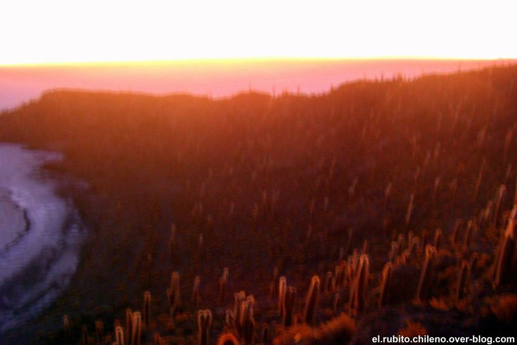 Levé de soleil depuis la Isla de Incahuasi. Traversé d'une des merveilles naturelles du monde. Le plus grand désert de sel du monde. Du blanc à perte de vue et un ciel bleu extraordinaire.