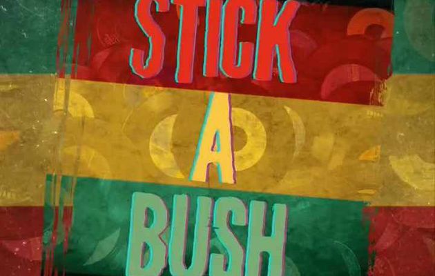 Stick a Bush L'Emission Reggae made in RADAR la RADio ARt en sort de Fécamp