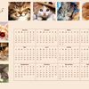 Calendrier annuel 2015 (thème chat)