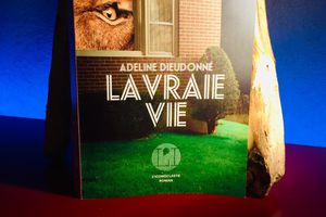 La vraie vie, d'Adeline Dieudonné --- Le combat inique d'une petite soldate !