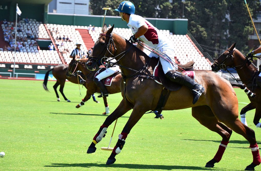 Le Polo est à l'Argentine ce le Basket est aux Américains.
Leurs équipes sont les meilleures du monde. Aussi je fus, par chance, spectateur du match où jouait la meilleure équipe du monde...