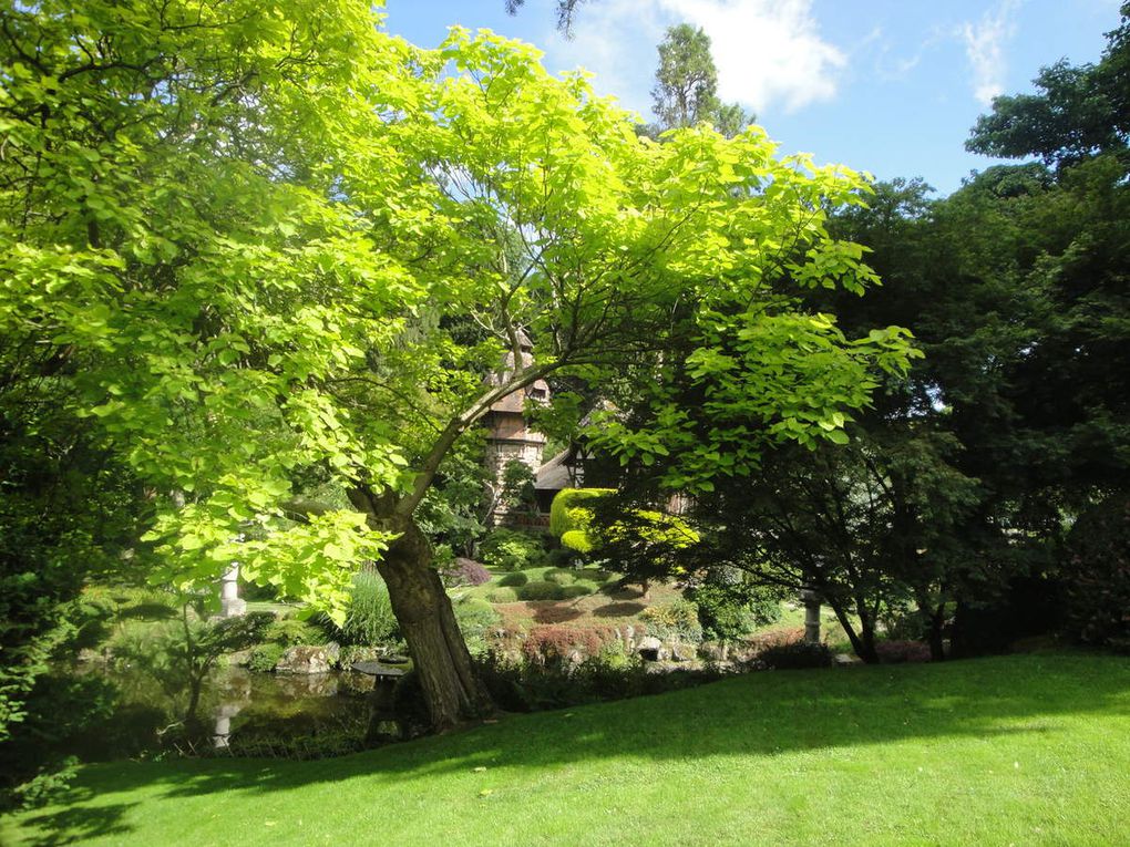 On devine la pagode entre les arbres, puis l'embarcadère puis à nouveau la pagode qui se dévoile, de superbes reflets, des arbres bluffants, le temple kmer et son bouddha, les lions montant la garde le long de l'escalier montant au temple,les poissons qui "accourent" en quête d'une possible nourriture, un joli pont japonais, un autre européen et enfin la Corne du Naja, recouverte de losanges de verre doré qui était posée à l'extrémité de la toiture d'un temple thaïlandais, elle symbolise l'esprit protecteur des eaux.                 