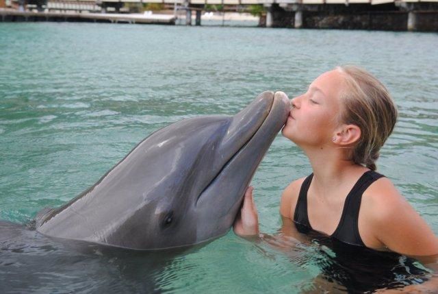 photos de dauphins en captivité à l'intercontental de Mooréa: idéal pour les enfants...