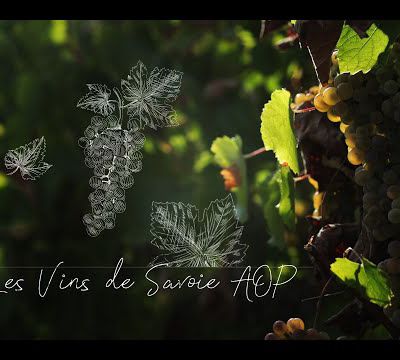 Vins de Savoie 🍇