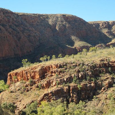 L'outback australien: Alice Springs et les West MacDonnell Ranges