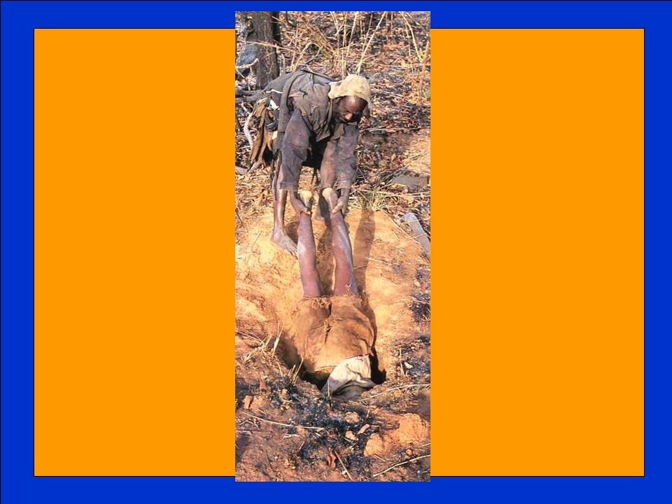 Divers - Chasseurs de serpents