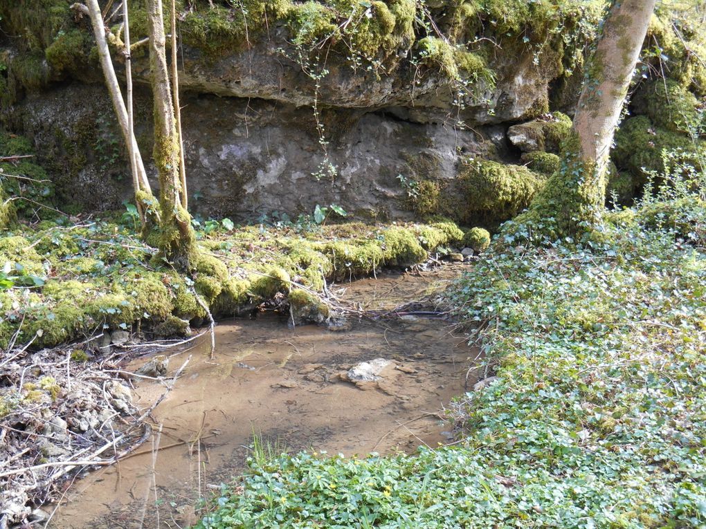 SORTIE : FAVEROLLES &quot;la fontaine du saut&quot;