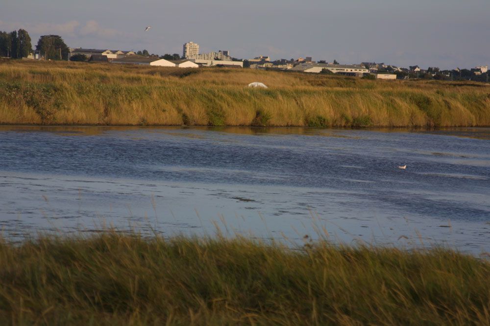 Images des marais salants de Gu&eacute;rande&nbsp;au lever du soleil