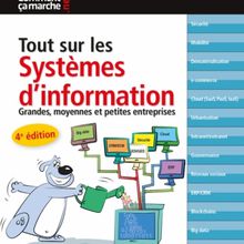 4ème édition de Tout sur les Systèmes d'Information est publié chez Dunod