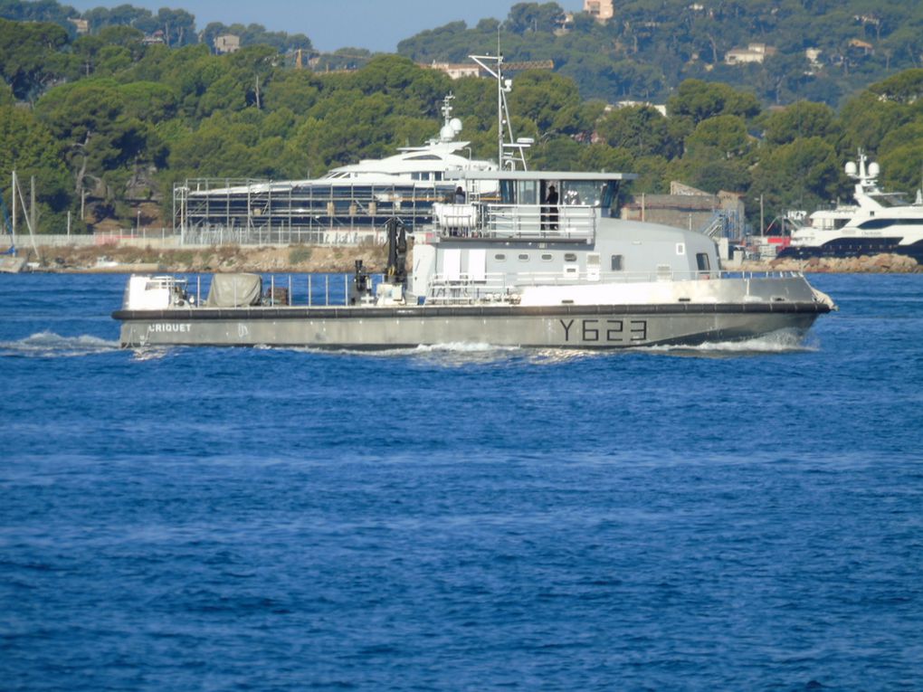 CRIQUET  Y 623 , chaland multi missions (CMM) en petite rade de Toulon le 20 aout 2020
