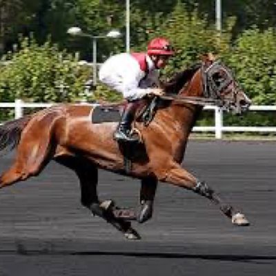 "R1-C1 | PRIX DE MONTIGNAC-CHARENTE 20 NOV 2023 À 13H50 HIPPODROME DE VINCENNES (R1) 15 PARTANTS - 90000€ - 2700 MÈTRES - MACHEFER"