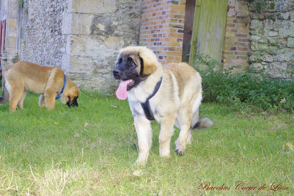 EN BALLADE A L'ABBAYE DE L'OUYE