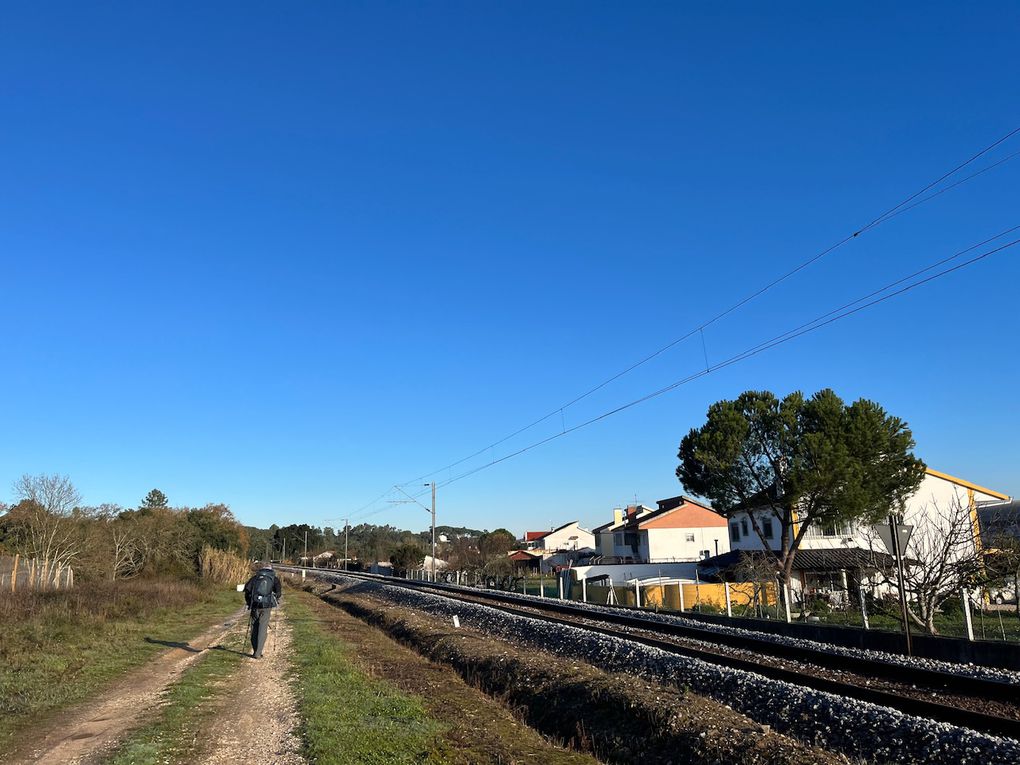 Notre matinée entre route circulante, chemin mouillé et petite départementale. Des grands chênes lieges et de jolis jardins.