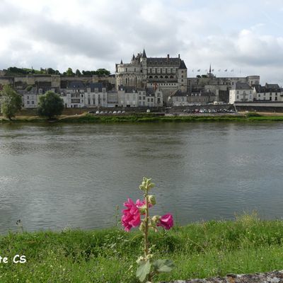 Le château Royal d'Amboise...