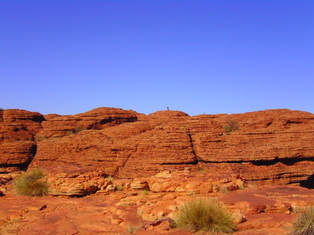 Album - The-Ultimate-Oz-Experience-2--Outback--The-Olgas---Ayers-Rock---Kings Canyon
