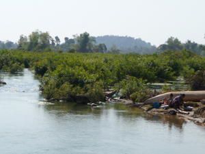 Il fait beau, il fait chaud ...welcome dans le sud du Laos. Ici on experiemente a fond le rythme ultra tranquille du pays. Au programme Pakse, Vat Phu de Champassak, 4000 iles !