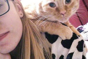 Mon compagnon à quatre pattes