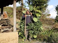 Partout les scènes de vie incroyables se succèdent...plus on marche plus on rencontre et on s'extasie...des banquières improvisées dans une petite école de campagne où des roturières décident de leur revanche en fixant des taux d'intérêt, un paysan saoul m'invitant bruyamment à le prendre en photo, deux chevreaux nés sous le signe du yang et de la spiritualité, et une ferme du "Bon Accueil" où un Monsieur "Cetelem" me ferait presque croire aux bienfaits du crédit.