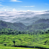 Venez vivre un moment inoubliable, empreint de sourires, de couleurs au Sri Lanka