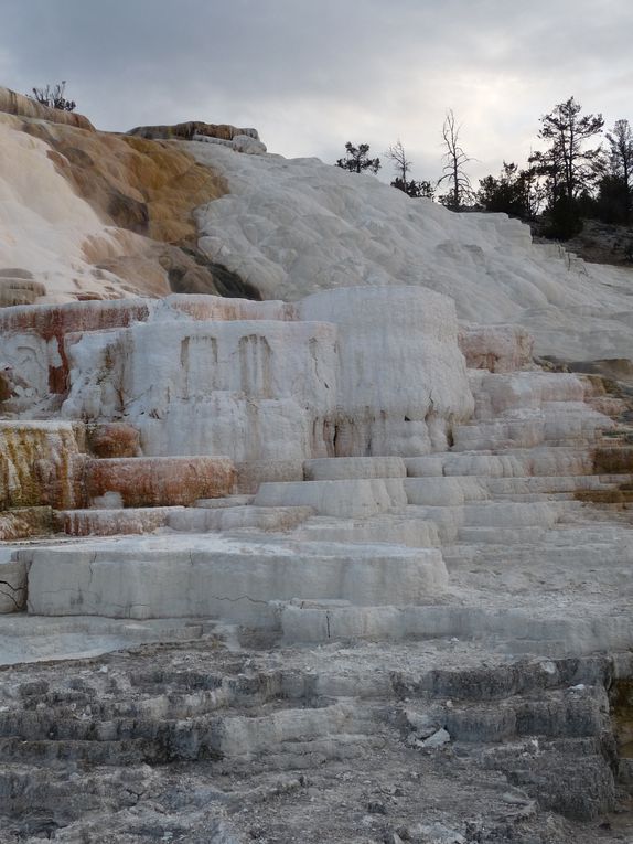 Album - 15.Yellowstone (Wyoming-octobre)