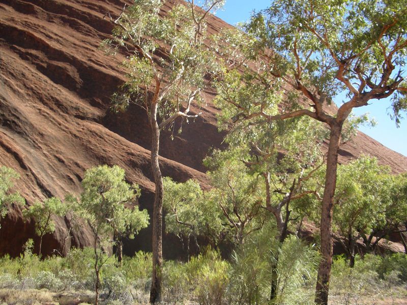 Album - The-Ultimate-Oz-Experience-2--Outback--The-Olgas---Ayers-Rock---Kings Canyon