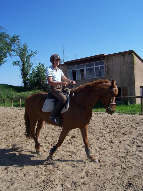 Divers concours fais par nos cavaliers.