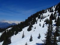 Au hasard de vos ballades à ski, ou en raquettes