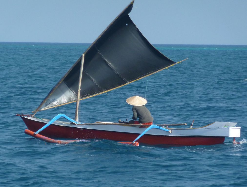 Indonésie à Singapour. Tanimbar, Banda, Wakatobi, Flores, Lombok, bali, Riau Island, Singapour.