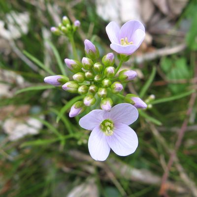 Le blog d'Emmanuelle