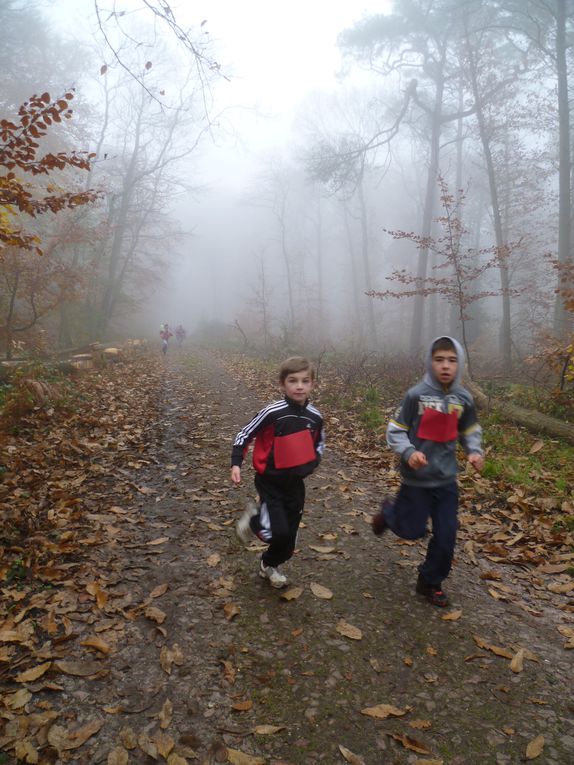 Les CE2, CM1 et CM2 de Brossolette ont participé au cross organisé par l'Office Municipal des Sports en forêt des Essarts