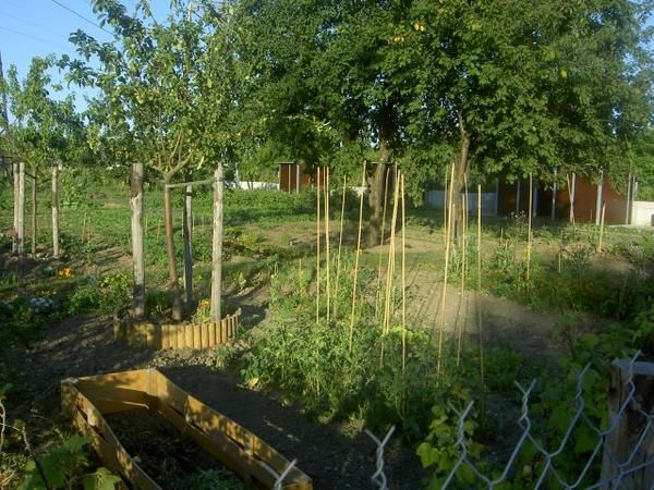 Des jardins familiaux, potagers privatifs accessibles aux habitants de la commune. Chacun dispose de son lopin de terre, d'une cabane &agrave; outils et d'une r&eacute;serve d'eau. L'eau provient de la r&eacute;serve, r&eacute;sultat de la filtration de l'eau de la seine.