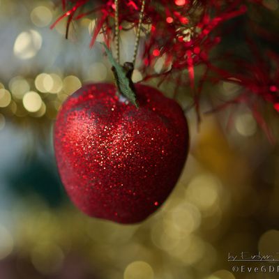 Bientôt Noël... ! J-12.. en Rouge et Or..