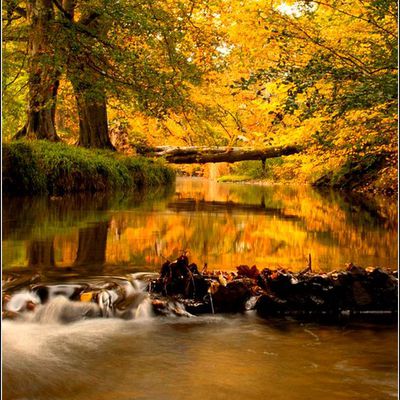 Images d'automne