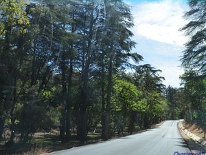 Sur la route de Meknès, Azrou, Ifrane (Maroc en camping-car)