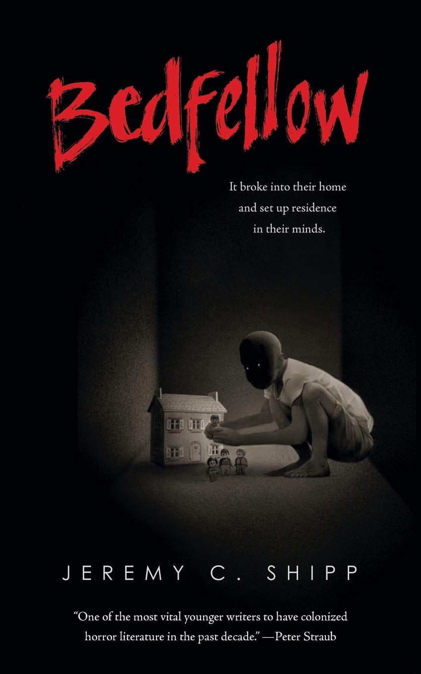 Couverture du livre: dans le noir, un enfant au visage sans traits est accroupi face à une maison miniature et joue avec de petites figurines représentant la famille principale, probablement