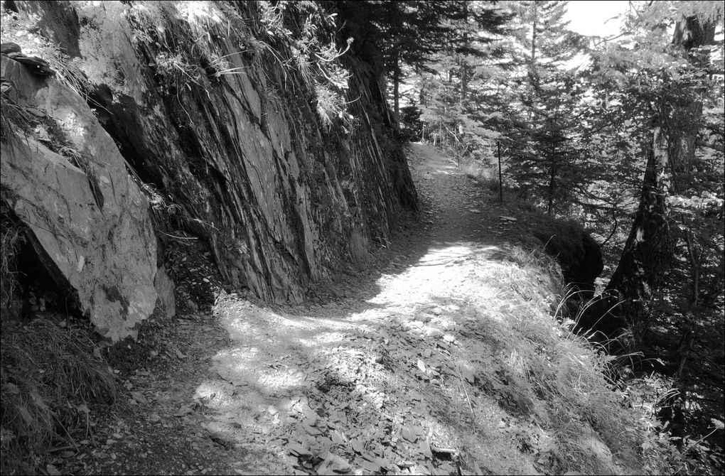 Chemin de l'impératrice entre l'hospice de France et le cirque de la Glère AA