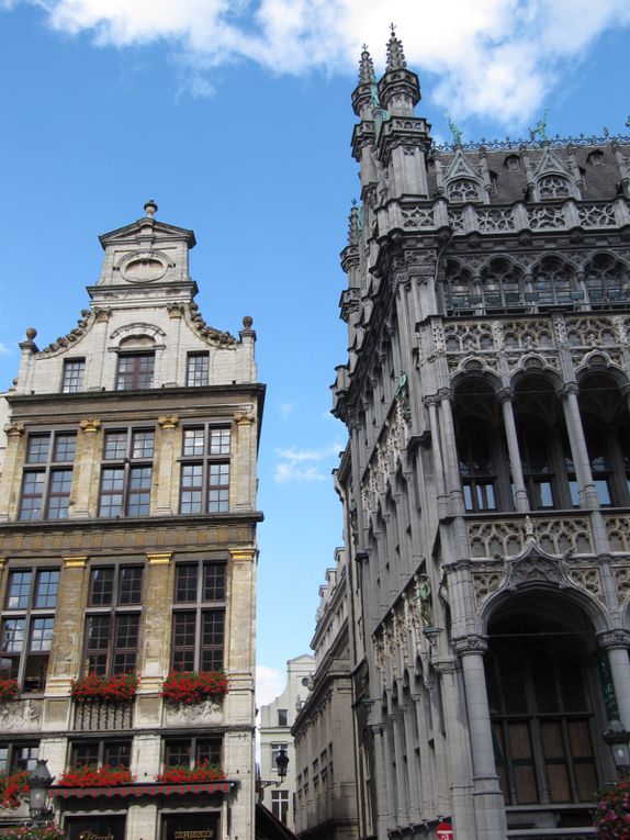 Quelques clichés de la Grand-Place de Bruxelles ensoleillée.