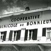 coopérative vinicole - Inventaire Général du Patrimoine Culturel