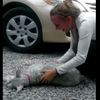 Un chien s'évanouit en revoyant sa maîtresse qu'il n'avait pas vu depuis 2 ans ! (vidéo)