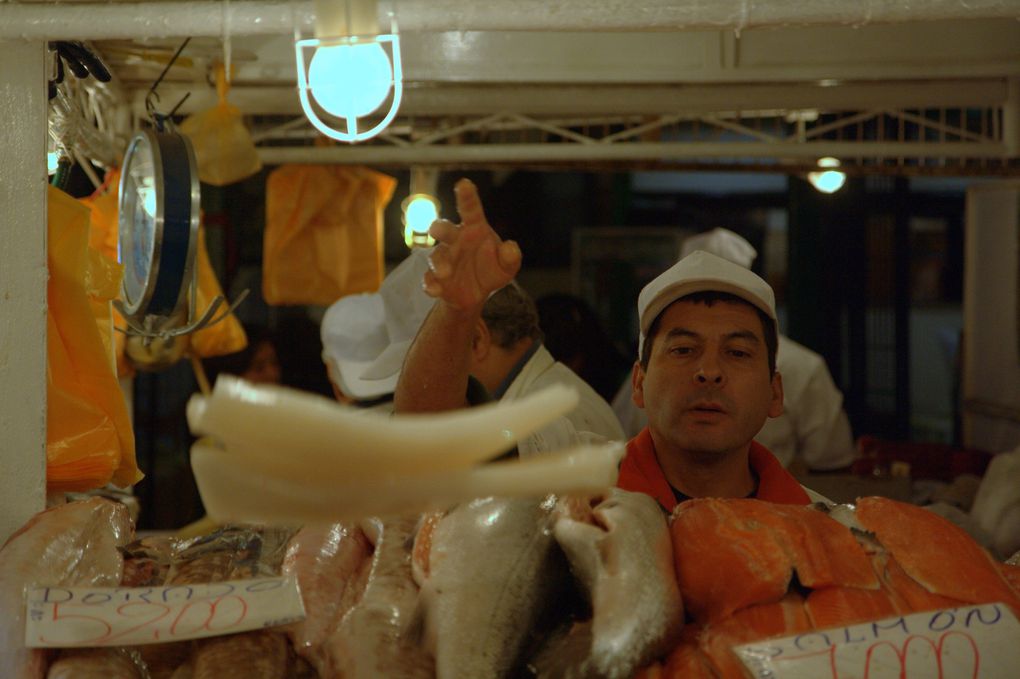 Je dois dire que Santiago ne m'a pas beaucoup inspiré, à part son marché aux Poissons, les vues sur ses toits et ses completos, (Hotdogs façon chilienne avec plein de guacamole!).